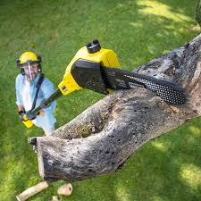 Best Lot and Land Clearing  in Union City, IN