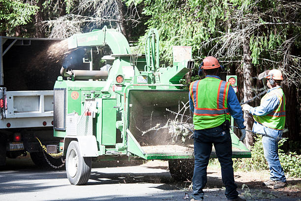 Best Commercial Tree Services  in Union City, IN