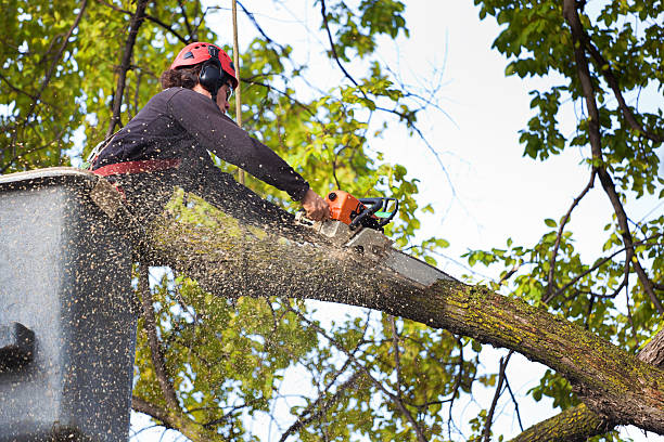 Lawn Watering Services in Union City, IN